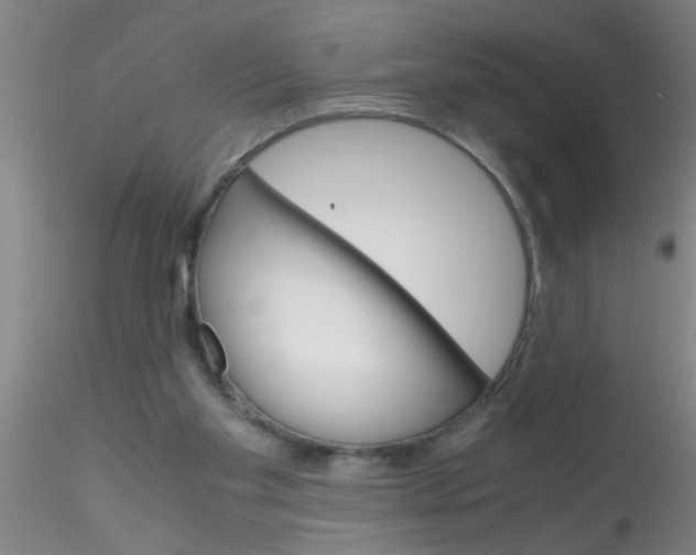 X0000115210109200911251517