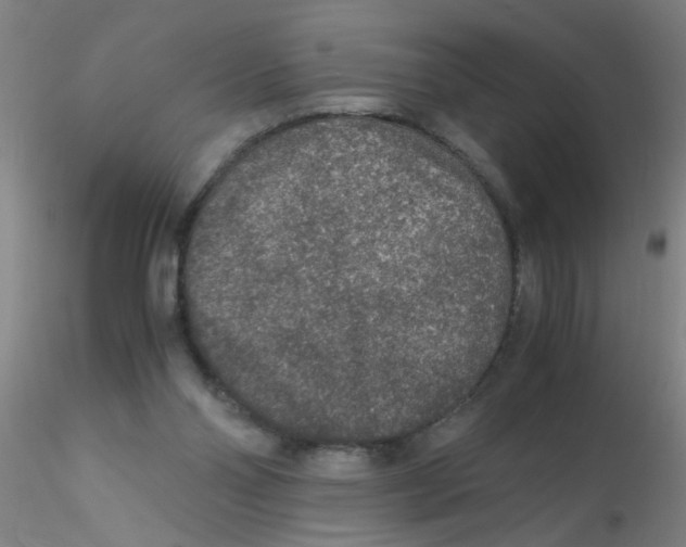 X0000115210110200911251517