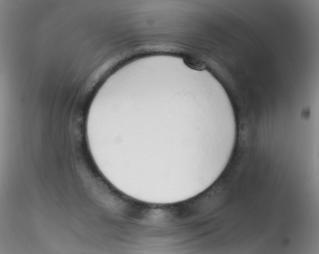 X0000115210111200911251517