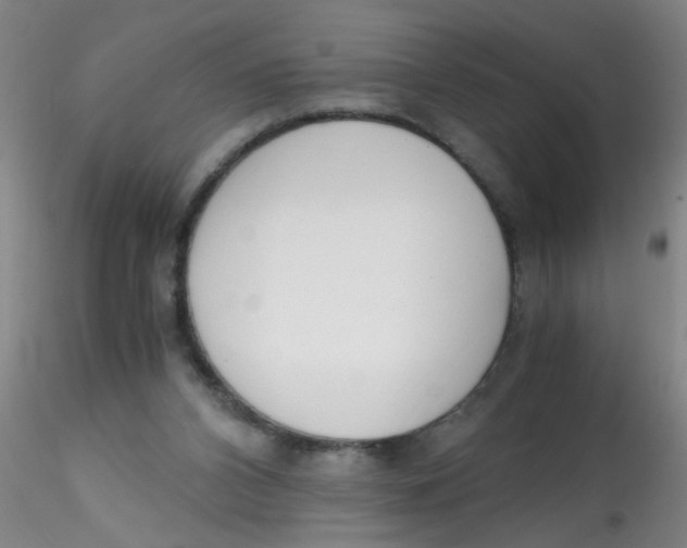 X0000115210112200911251517