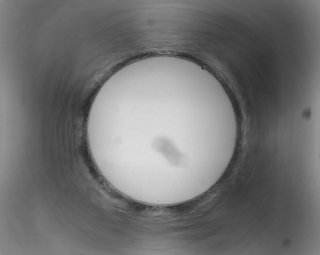 X0000115210113200911251517