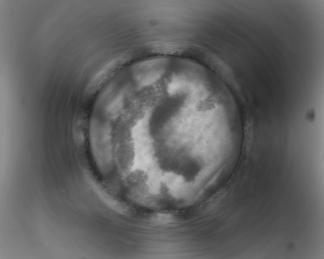 X0000115210114200911251517