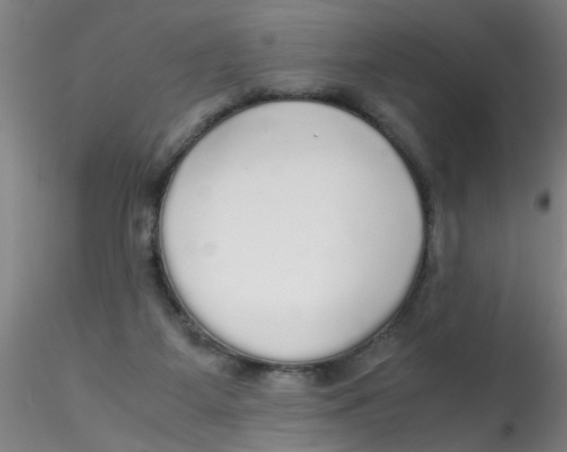 X0000115210115200911251517