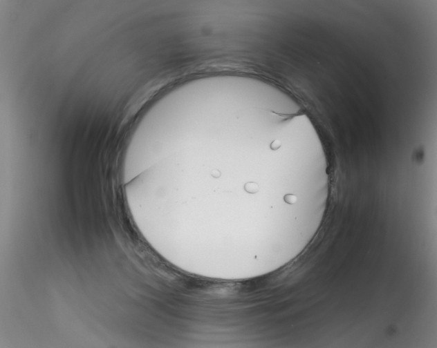 X0000115210116200911251517