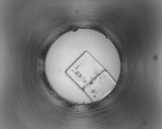 X0000115210117200911251517