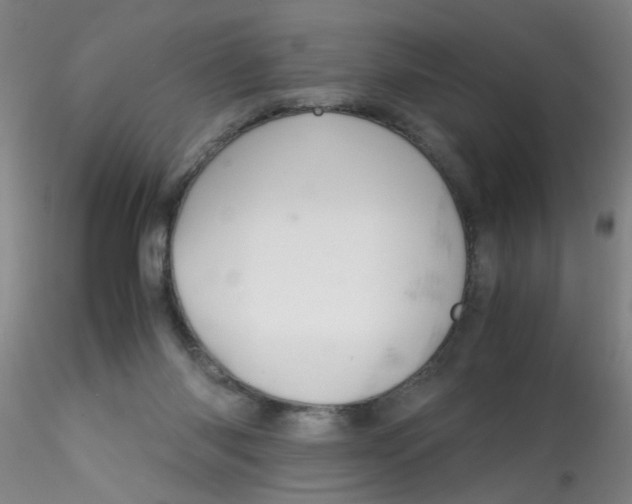 X0000115210118200911251517