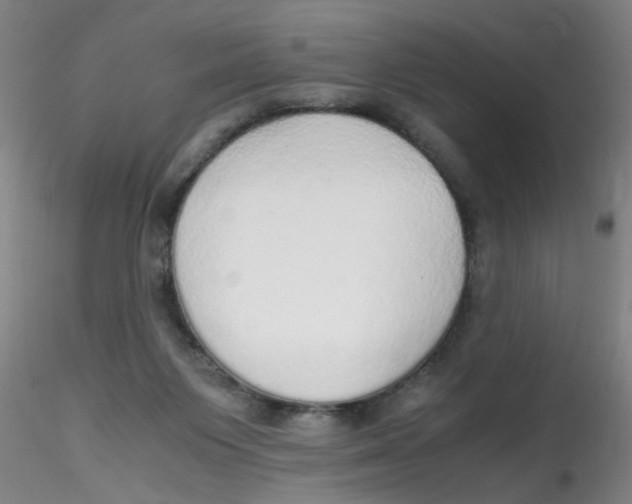 X0000115210119200911251517