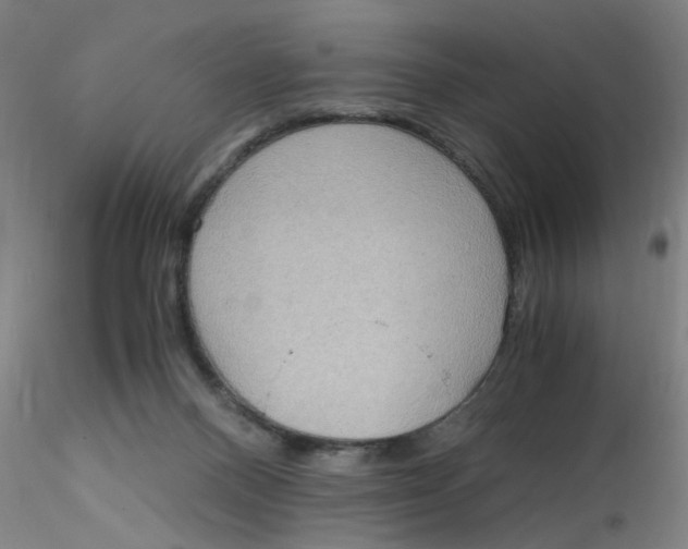 X0000115210120200911251517