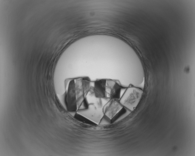 X0000115210121200911251517