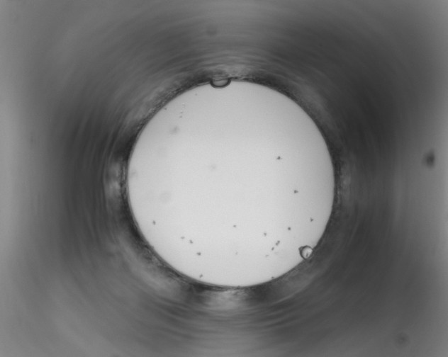 X0000115210122200911251517