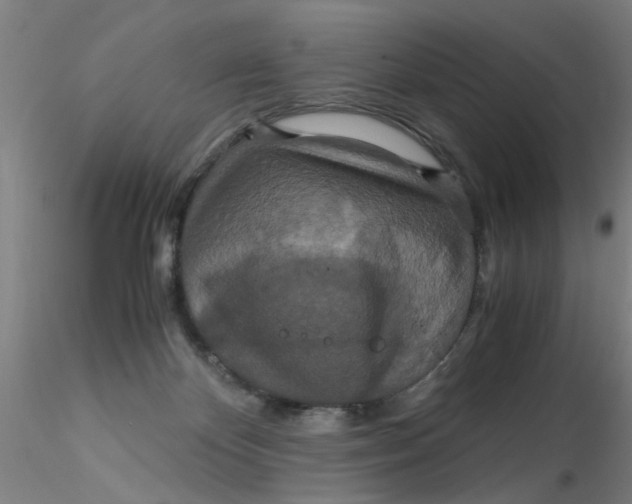 X0000115210124200911251517