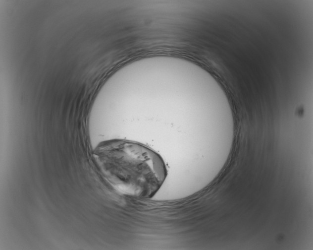 X0000115210125200911251517