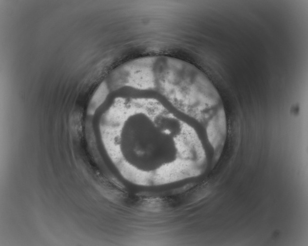 X0000115210127200911251517