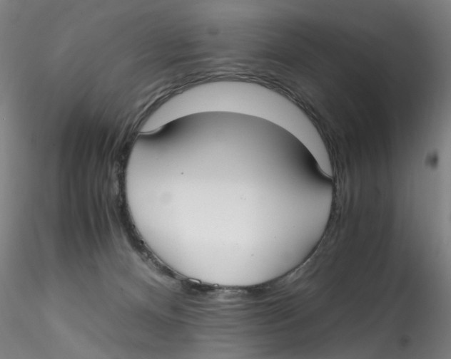 X0000115210128200911251517