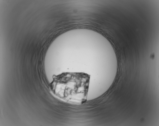 X0000115210129200911251517