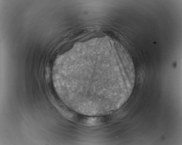 X0000115210130200911251517