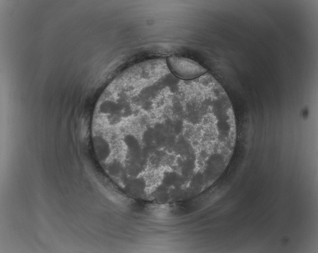 X0000115210131200911251517