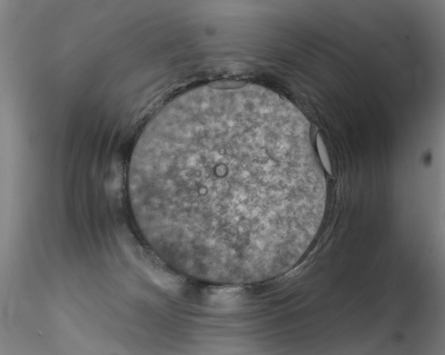 X0000115210132200911251517