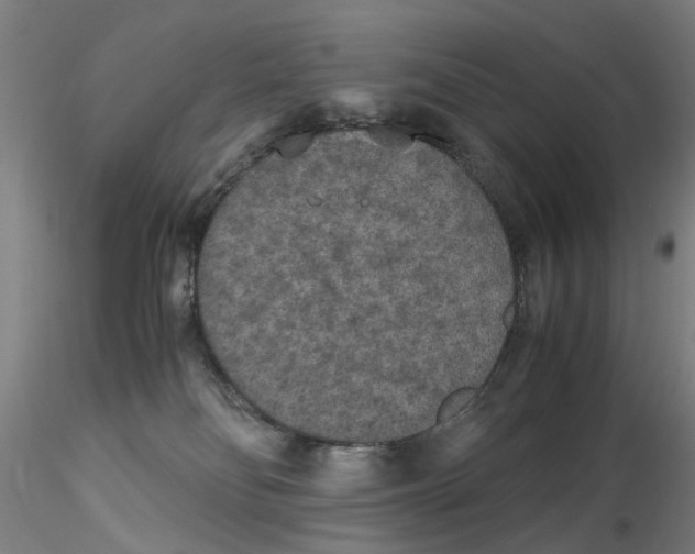 X0000115210134200911251517