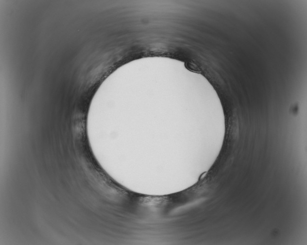 X0000115210135200911251517