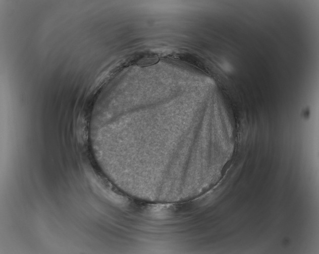 X0000115210136200911251517