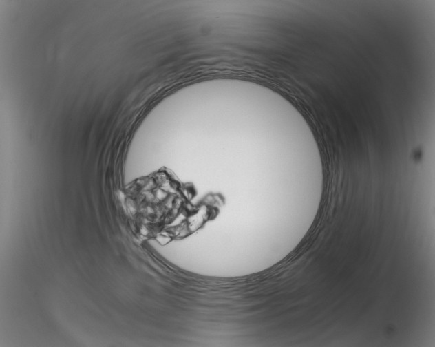 X0000115210137200911251517