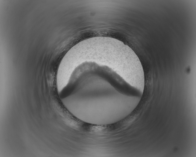 X0000115210139200911251517