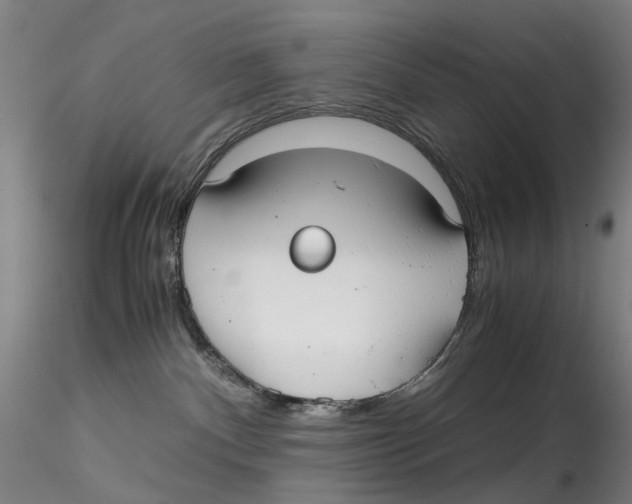 X0000115210140200911251517