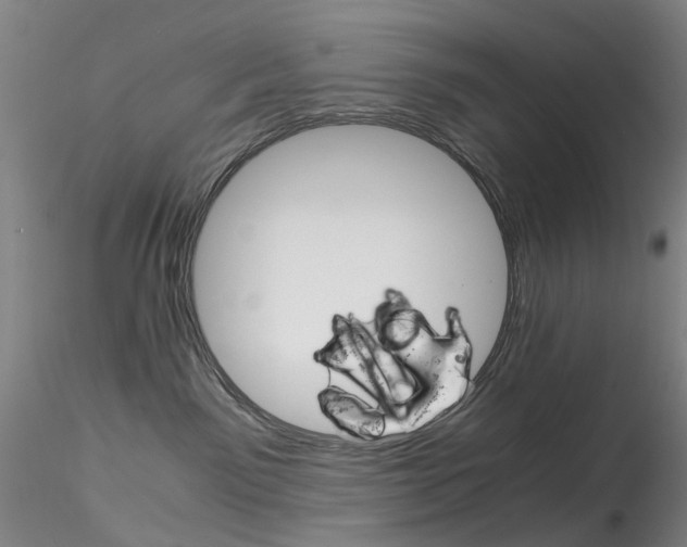 X0000115210141200911251517