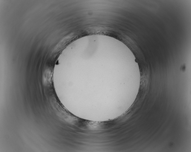 X0000115210142200911251517