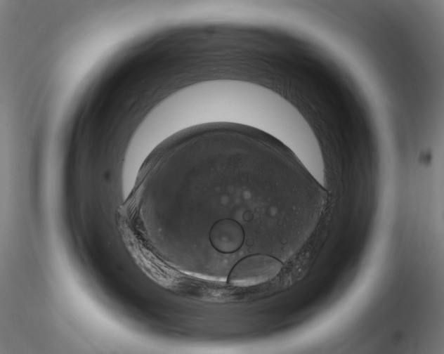 X0000115210143200911251517