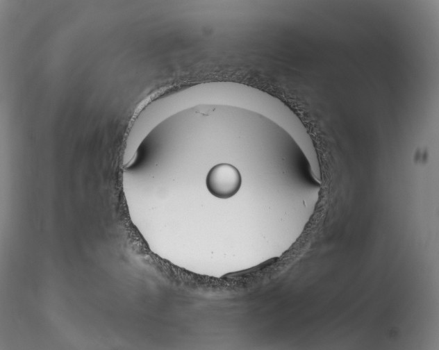 X0000115210144200911251517