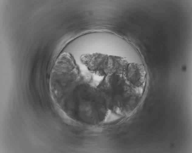 X0000115210145200911251516