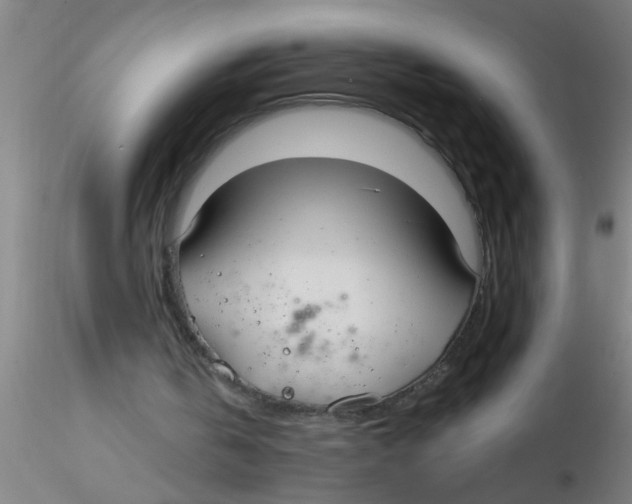 X0000115210146200911251516