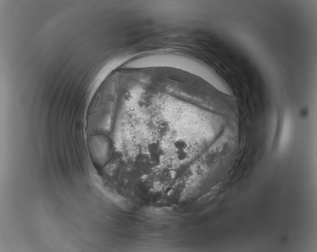 X0000115210147200911251516