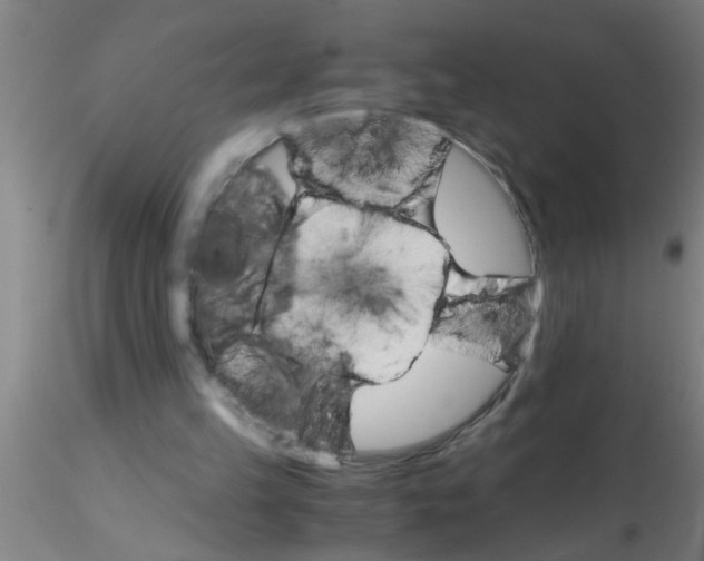 X0000115210149200911251516