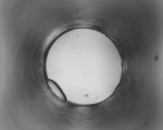 X0000115210150200911251516