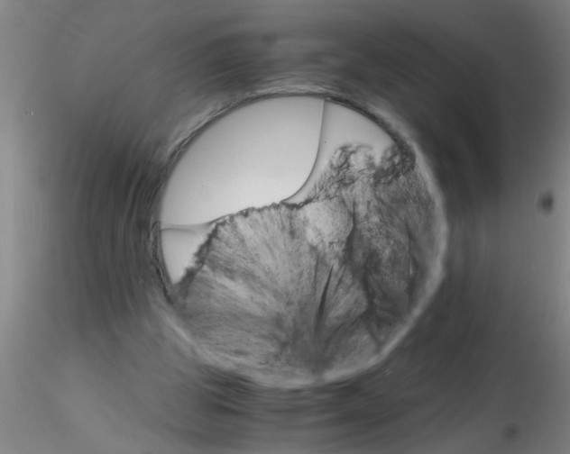 X0000115210153200911251516