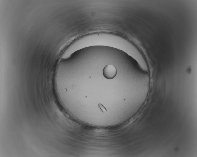 X0000115210154200911251516