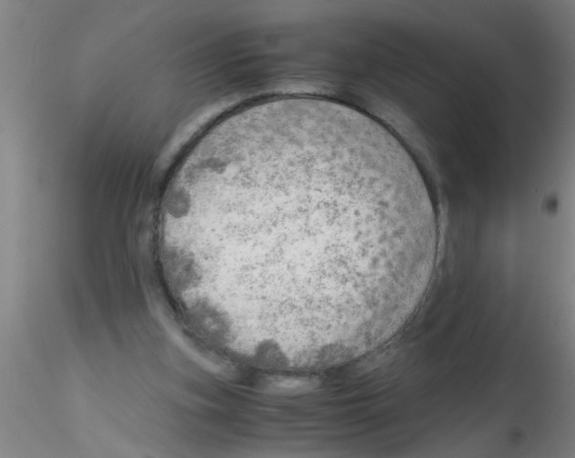 X0000115210155200911251516