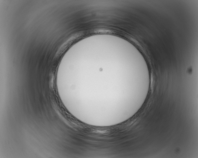 X0000115210157200911251516