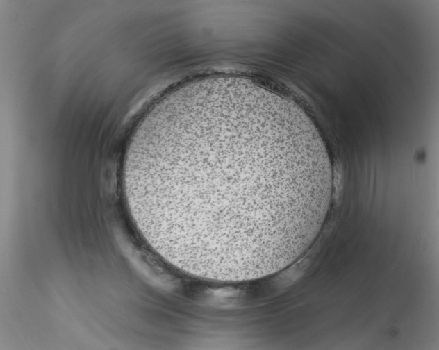 X0000115210158200911251516