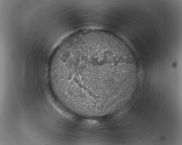 X0000115210159200911251516