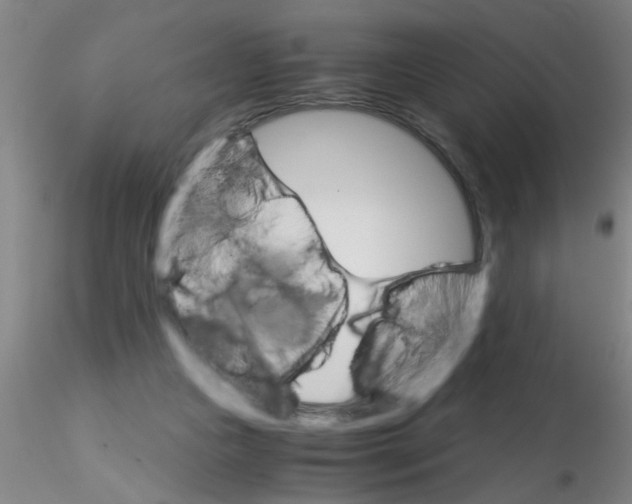 X0000115210161200911251516