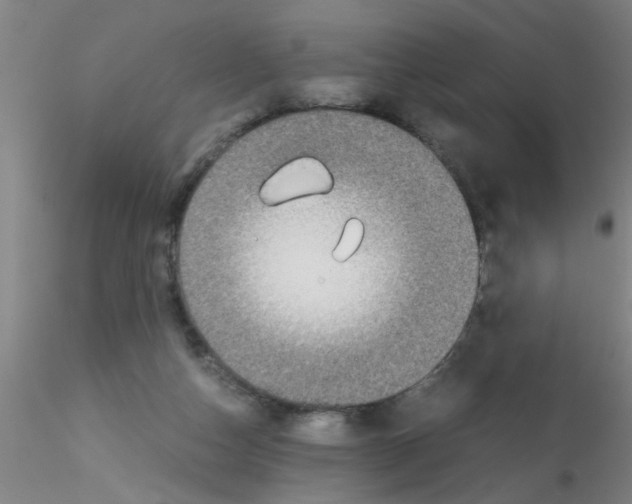 X0000115210162200911251516