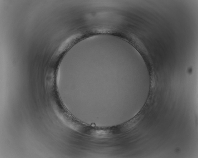 X0000115210163200911251516