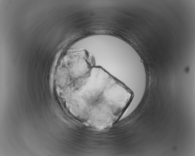 X0000115210165200911251516