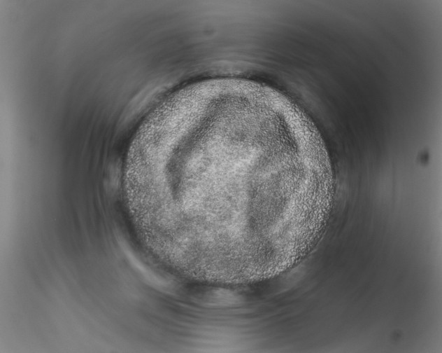 X0000115210166200911251516