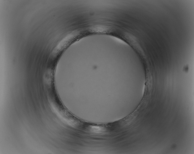 X0000115210167200911251516