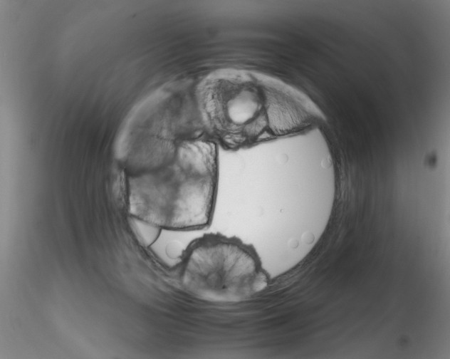 X0000115210169200911251516